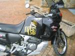 Max450 (59).jpg